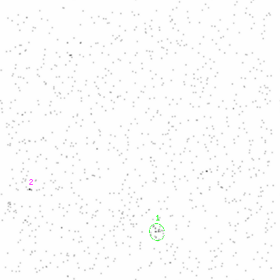 ccd3 smooth0cl image