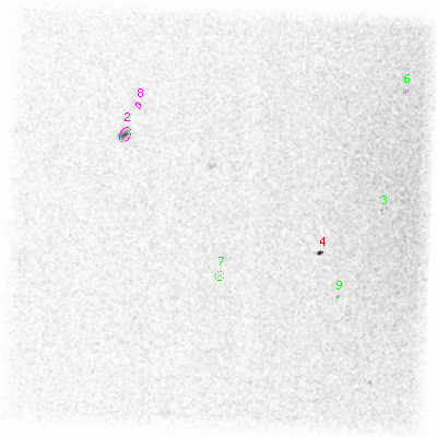 ccd6 smooth0cl image