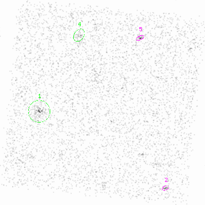 ccd3 smooth0 image