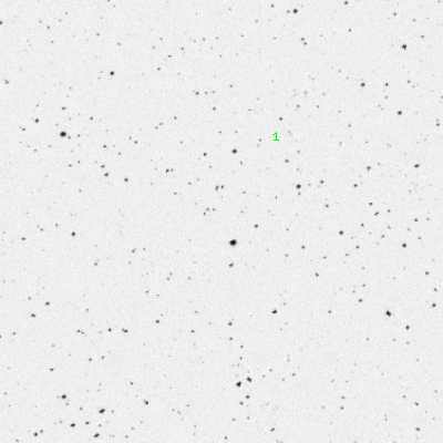 Skyview survey image