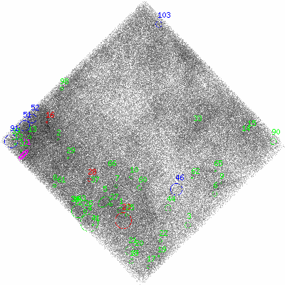 ccd3 fullimage image