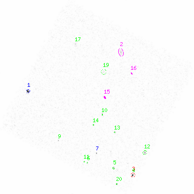 ccd6 smooth0 image