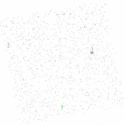 ccd6 smooth0 image