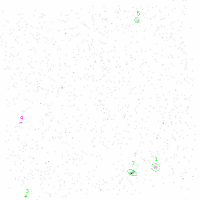 ccd6 smooth0 image