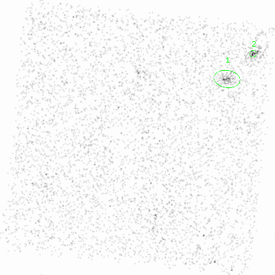 ccd6 smooth0cl image