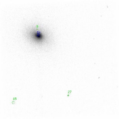 ccd3 smooth0 image