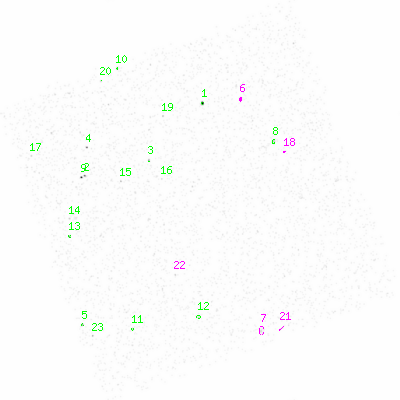 ccd3 smooth0 image