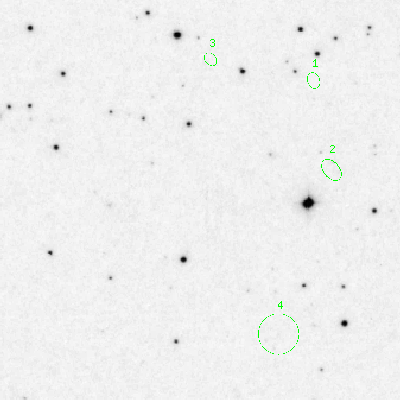 Skyview survey image