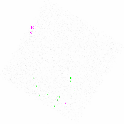 ccd6 smooth0 image