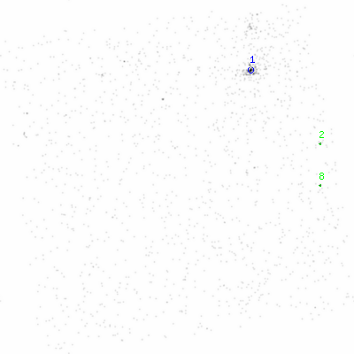 ccd3 smooth0cl image