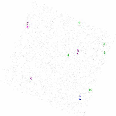 ccd6 smooth0 image