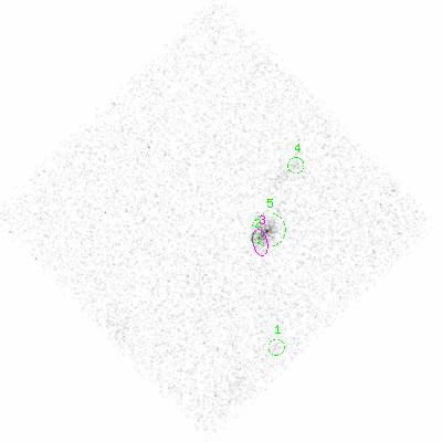 ccd6 smooth0 image