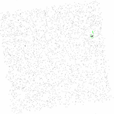 ccd3 smooth0cl image