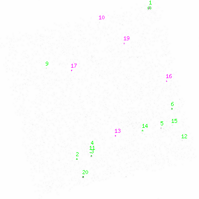 ccd3 smooth0 image