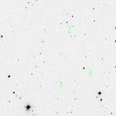 Skyview survey image