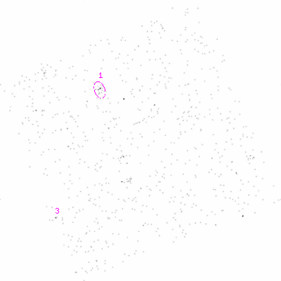 ccd3 smooth0cl image