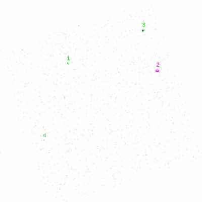 ccd6 smooth0cl image