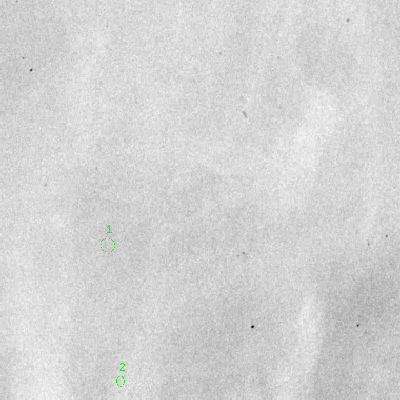 Skyview survey image