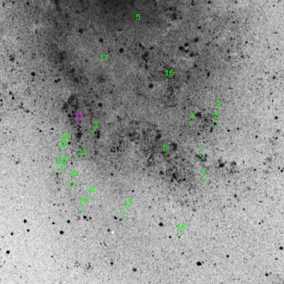 Skyview survey image