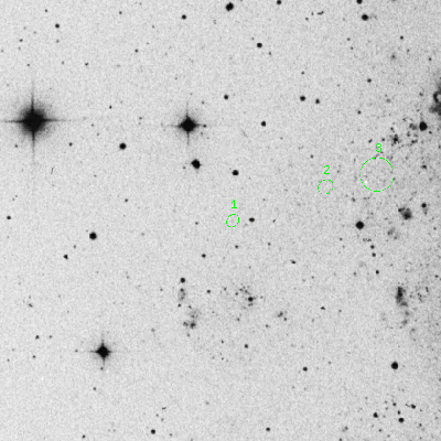 Skyview survey image