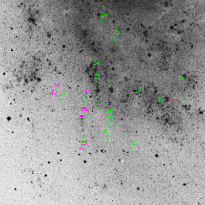 Skyview survey image