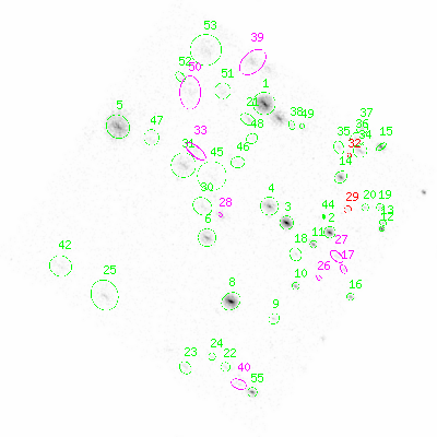 ccd3 smooth0 image