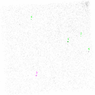 ccd1 smooth0cl image