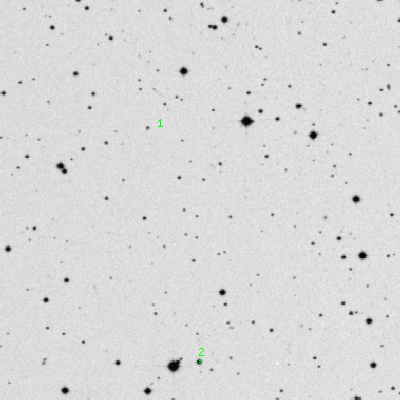 Skyview survey image