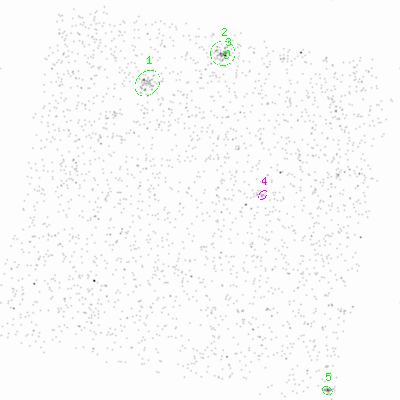 ccd3 smooth0 image