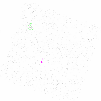 ccd3 smooth0 image