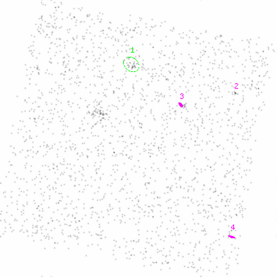 ccd3 smooth0cl image