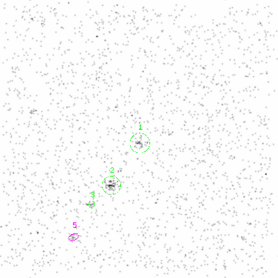 ccd3 smooth0 image