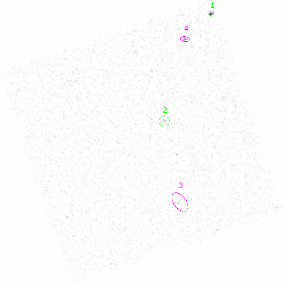 ccd3 smooth0 image