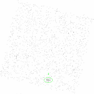 ccd6 smooth0 image