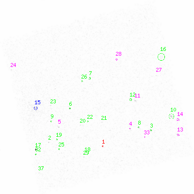 ccd3 smooth0 image