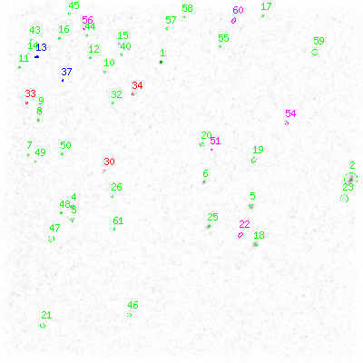 ccd3 smooth0 image