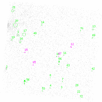 ccd3 fullimage image