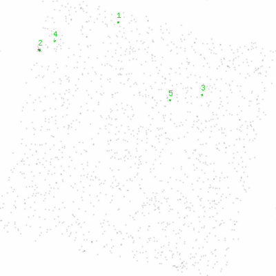 ccd6 smooth0 image