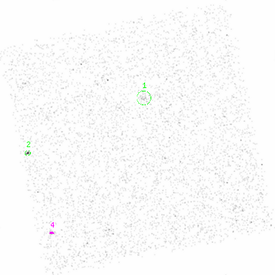 ccd3 smooth0cl image