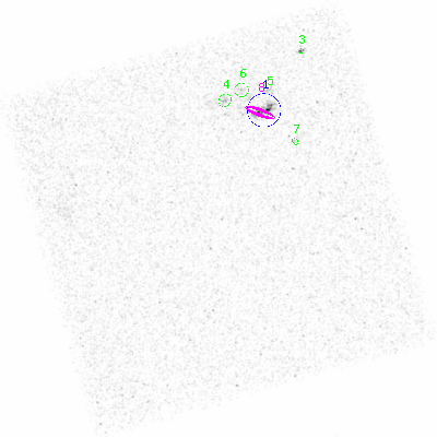 ccd3 smooth0 image