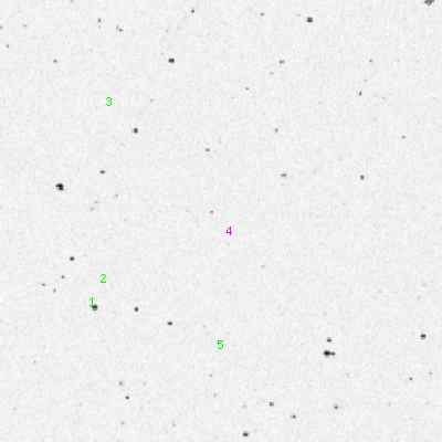 Skyview survey image