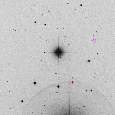 Skyview survey image