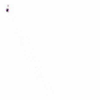 ccd7 smooth0cl image