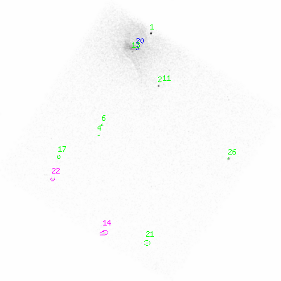 ccd3 smooth0 image