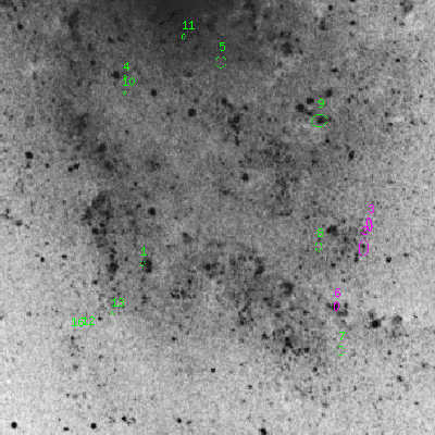 Skyview survey image