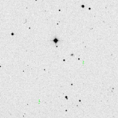 Skyview survey image