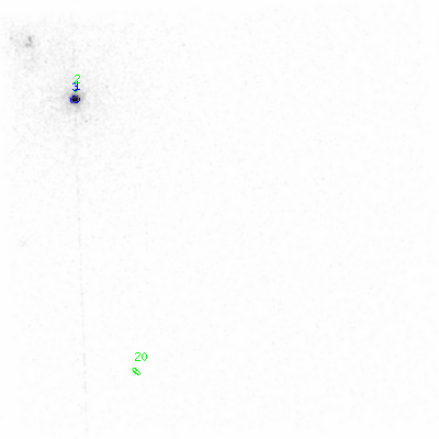 ccd3 smooth0cl image