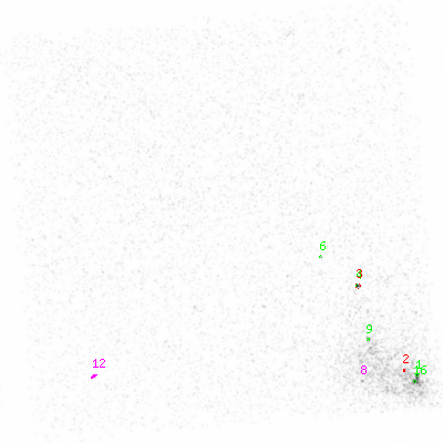 ccd3 smooth0 image