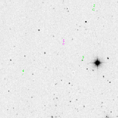 Skyview survey image