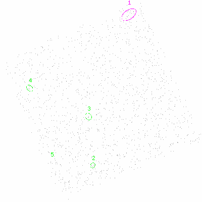 ccd3 fullimage image